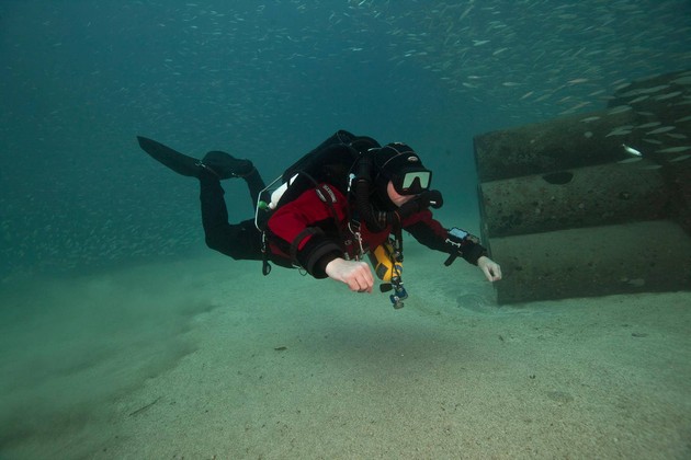 Diver with Gorgonian fan coral Rebreatherpro-Training