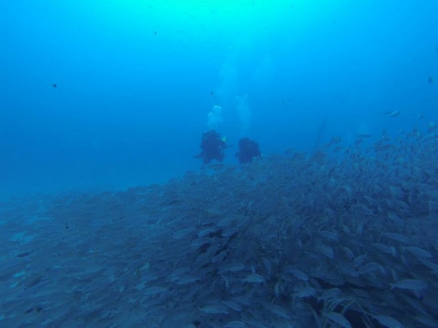 Rebreather divers on the Mogan wrecks in Gran Canaria Rebreatherpro-Training