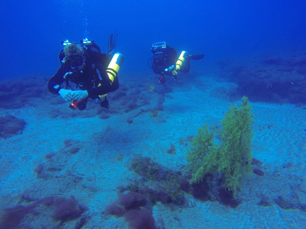 Matt Astil from Dive Academy Gran Canaria on his Mod1 Rebreather course Rebreatherpro-Training