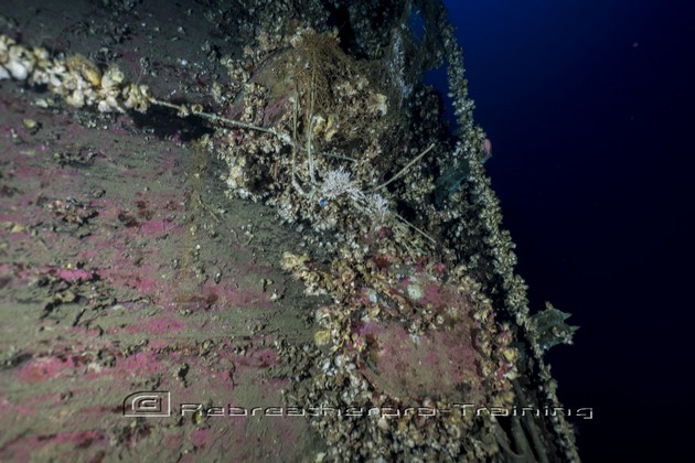 SS Thistlegorm was a British armed Merchant Navy ship Rebreatherpro-Training